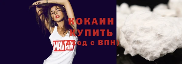 прущие грибы Арсеньев