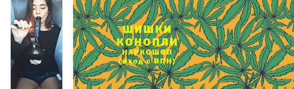 прущие грибы Арсеньев