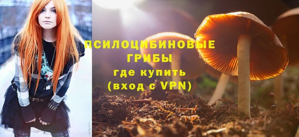 прущие грибы Арсеньев