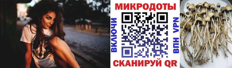 hydra tor  где купить наркоту  Нижняя Тура  Псилоцибиновые грибы Cubensis 